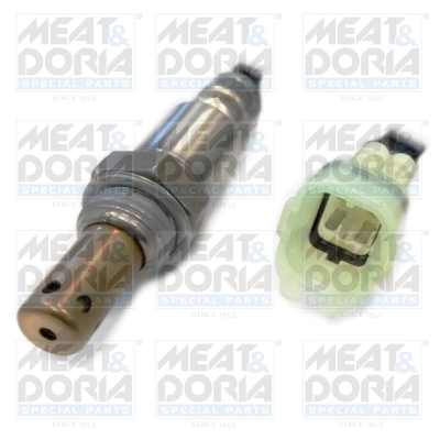 Oxygen Sensor